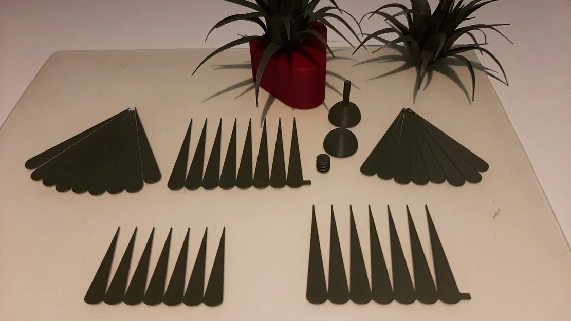 Trái tim Valentine kèm cây không khí (Air Plant) - Image 5