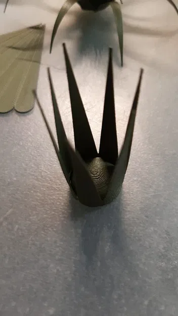 Trái tim Valentine kèm cây không khí (Air Plant) - Image 7