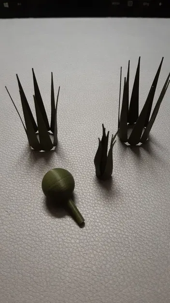 Trái tim Valentine kèm cây không khí (Air Plant) - Image 8