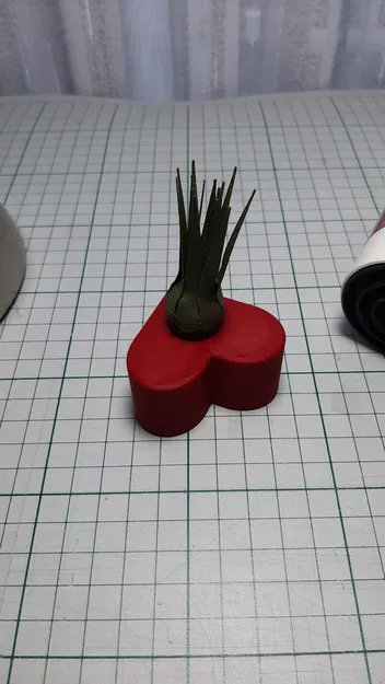 Trái tim Valentine kèm cây không khí (Air Plant) - Image 9