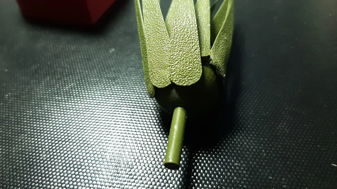 Trái tim Valentine kèm cây không khí (Air Plant) - Image 10