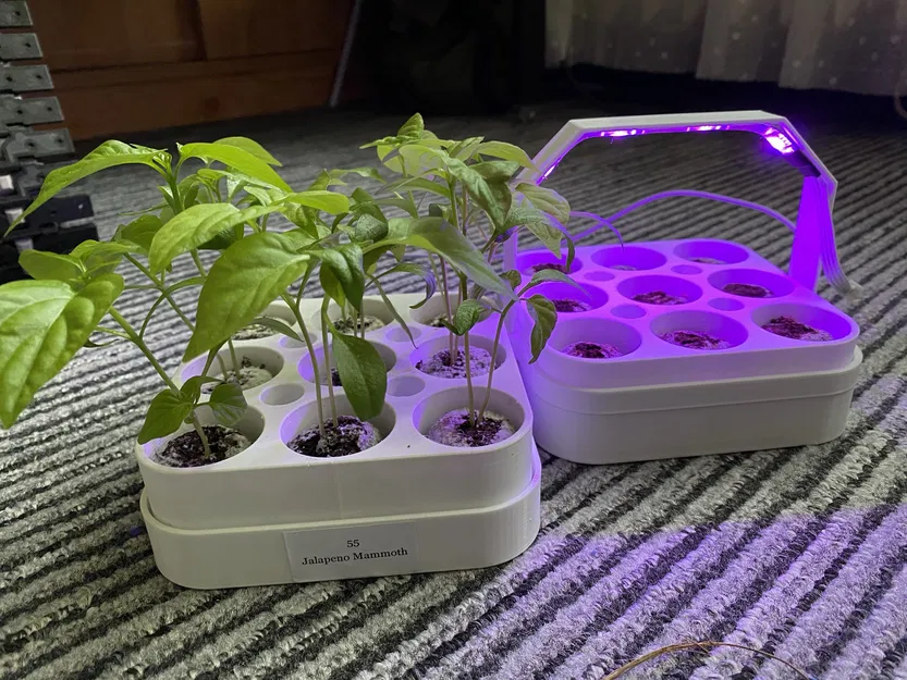 Khay Hạt Giống Tùy Chỉnh Theo Tham Số - Image 2