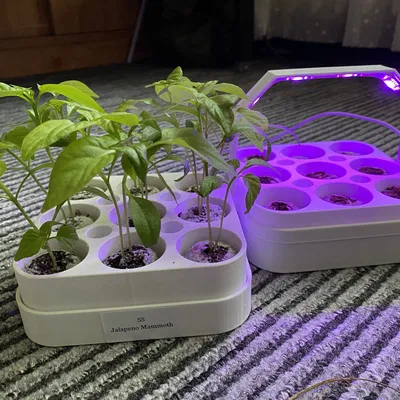 Khay Hạt Giống Tùy Chỉnh Theo Tham Số