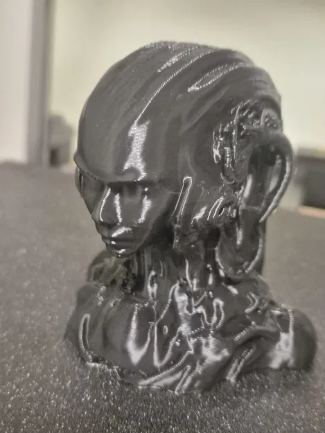 CyperGirl – Tượng điêu khắc lấy cảm hứng từ H.R. Giger - Image 5