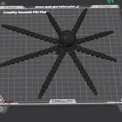 Bạch tuộc dài (octopuse long)