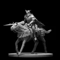 Black Knight Commander – Chỉ Huy Kỵ Sĩ Hắc Giáp - Thumbnail 1