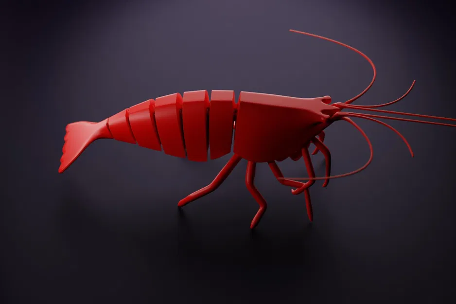 Tôm khớp nối (Articulated Shrimp) in 3D print-in-place - Image 2