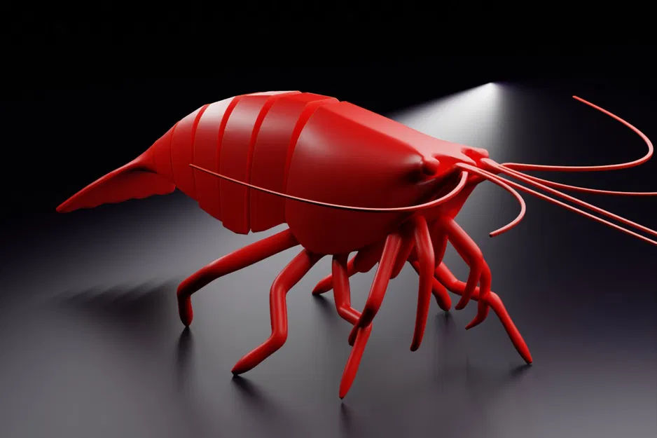 Tôm khớp nối (Articulated Shrimp) in 3D print-in-place - Image 3