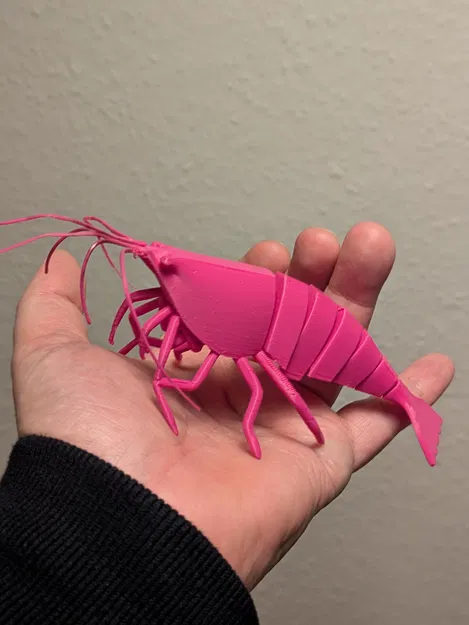 Tôm khớp nối (Articulated Shrimp) in 3D print-in-place - Image 6