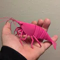Tôm khớp nối (Articulated Shrimp) in 3D print-in-place - Thumbnail 6