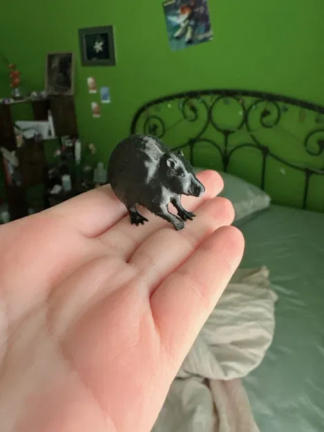 Platypus (Thú mỏ vịt) - Image 1