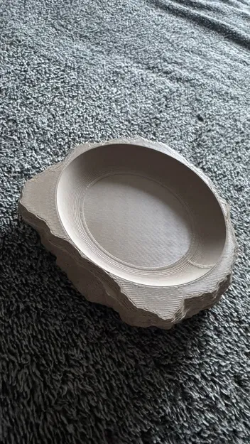 Chén đá cho bò sát - Image 1