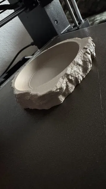 Chén đá cho bò sát - Image 2