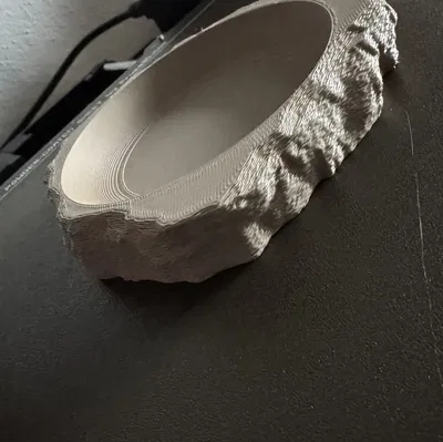 Chén đá cho bò sát