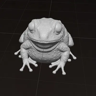 Ếch dễ thương (Cute frog)