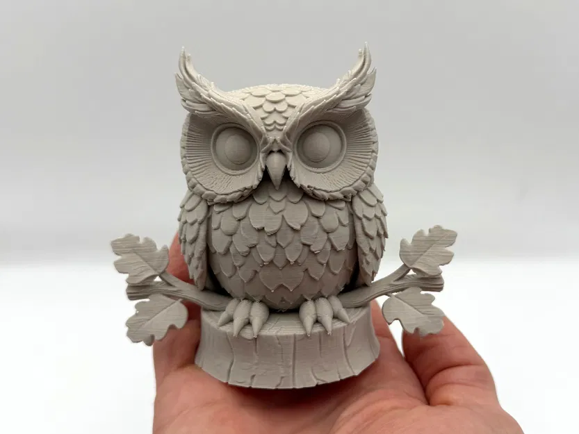 Cú mèo trên cành (Owl on Branch) - Image 1