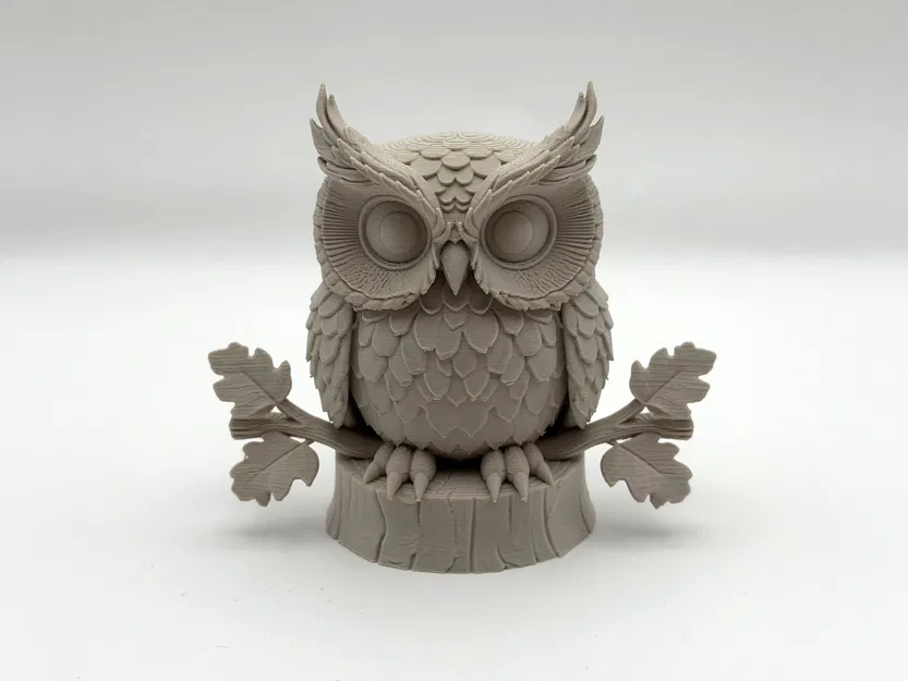 Cú mèo trên cành (Owl on Branch) - Image 2