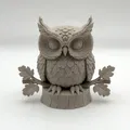 Cú mèo trên cành (Owl on Branch) - Thumbnail 2