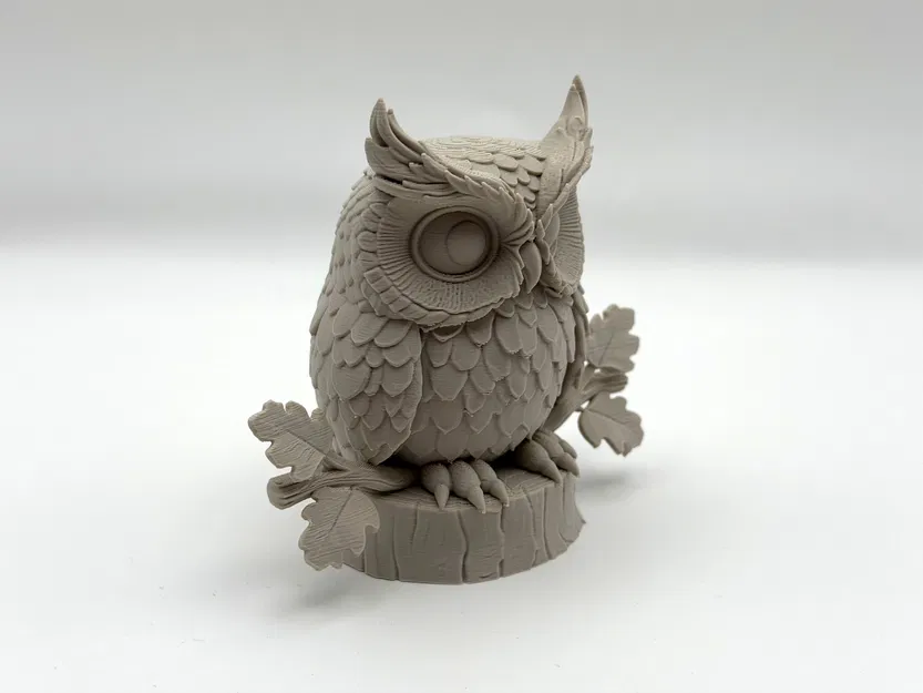 Cú mèo trên cành (Owl on Branch) - Image 3