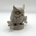 Cú mèo trên cành (Owl on Branch) - Thumbnail 3