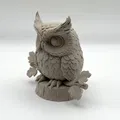 Cú mèo trên cành (Owl on Branch) - Thumbnail 4