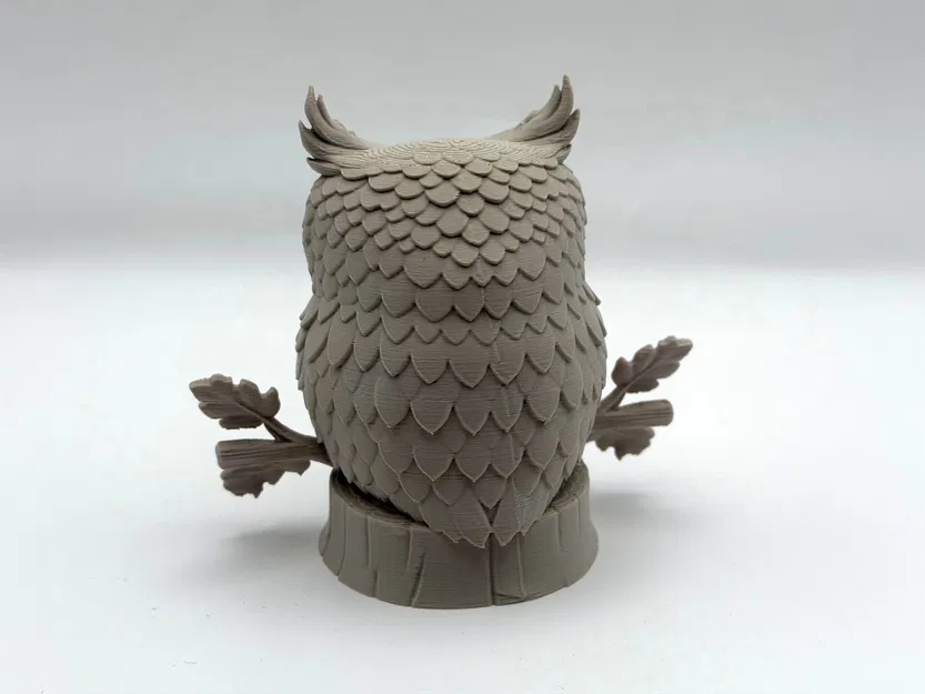 Cú mèo trên cành (Owl on Branch) - Image 5