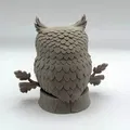 Cú mèo trên cành (Owl on Branch) - Thumbnail 5