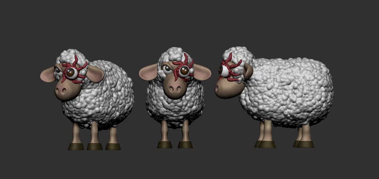 T Ocellus sheep - Image 2