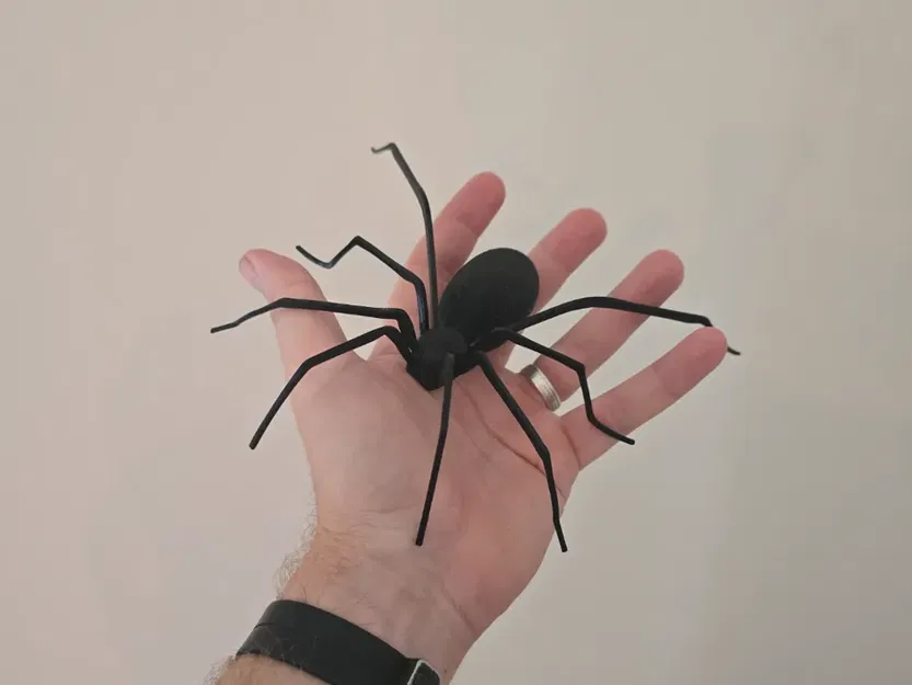 Nhện treo tường (Spider for wallmount) - Image 1