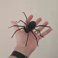 Nhện treo tường (Spider for wallmount) - Thumbnail 1