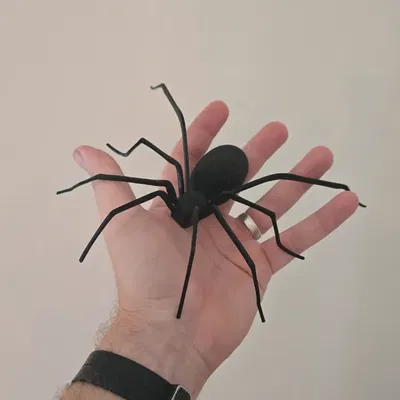 Nhện treo tường (Spider for wallmount)
