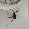 Nhện treo tường (Spider for wallmount) - Thumbnail 2