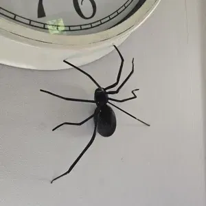 Nhện treo tường (Spider for wallmount)