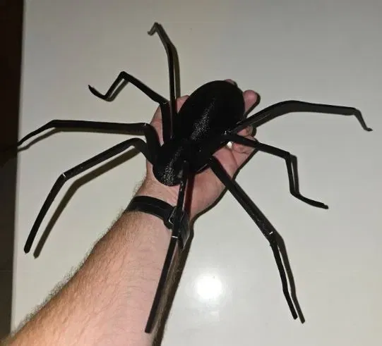 Nhện treo tường (Spider for wallmount) - Image 3