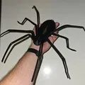 Nhện treo tường (Spider for wallmount) - Thumbnail 3