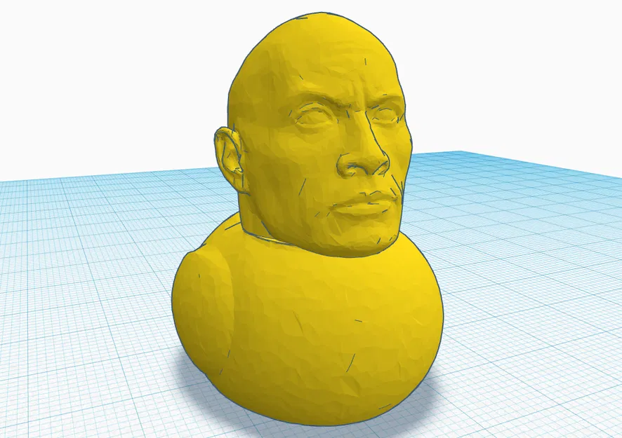 Duck Rock (Vịt The Rock) - Image 1