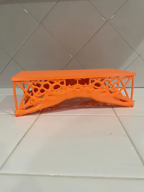 Cầu in 3D: Generative Design vs Truyền thống (Bridges, Generative Design and Traditional) - Image 9