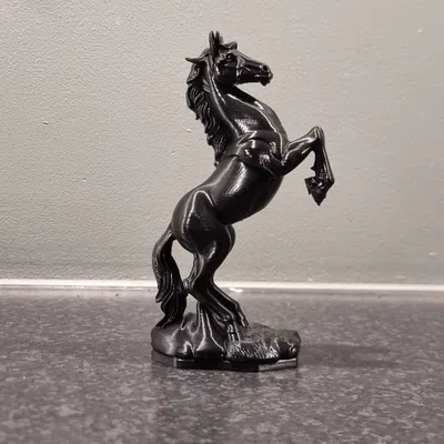 Tượng điêu khắc ngựa chồm (Horse sculpture)