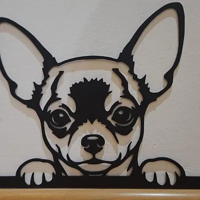 Chihuahua Wallart