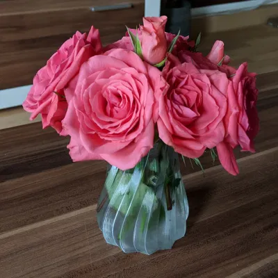 Soft Vase (Bình hoa mềm) – Mẫu in vase mode