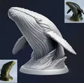 Tượng Bán Thân Cá Voi (Whale Bust) - Thumbnail 1