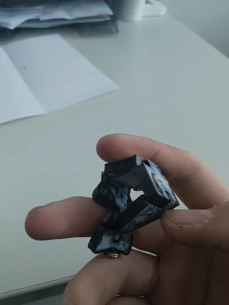 Flexi Forelle – Multicolor | mô hình 3D in chuyển động (Fidget toy) - Image 3