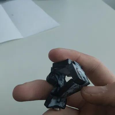 Flexi Forelle – Multicolor | mô hình 3D in chuyển động (Fidget toy)