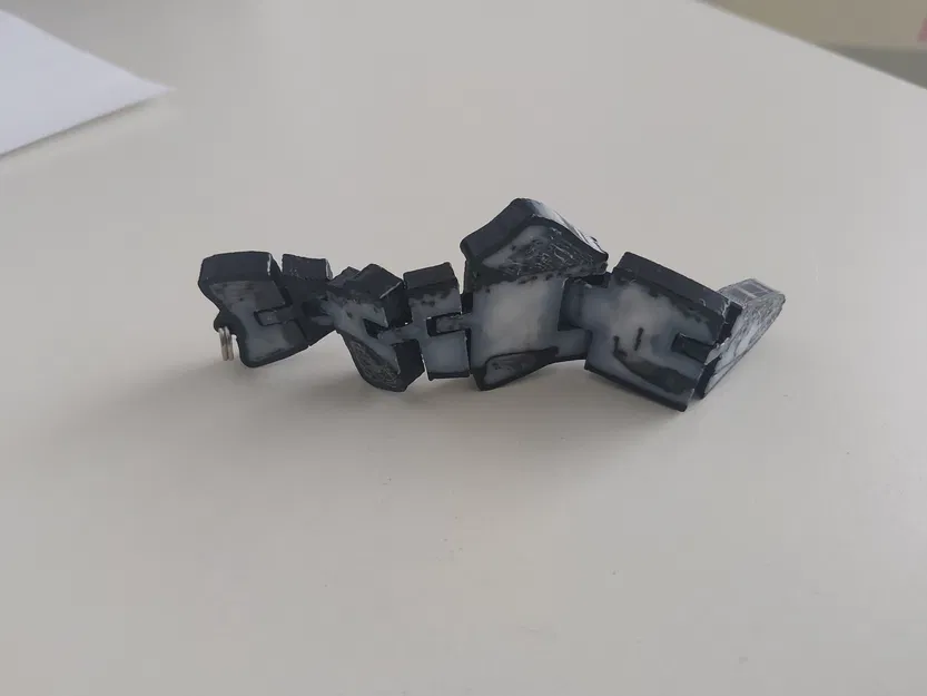 Flexi Forelle – Multicolor | mô hình 3D in chuyển động (Fidget toy) - Image 5