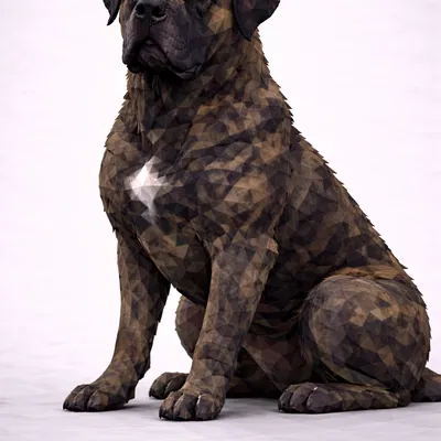 English Mastiff Low Poly