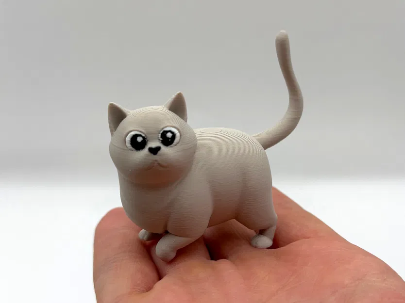 Woot Kitty – Mèo Chonky Dễ Thương - Image 1