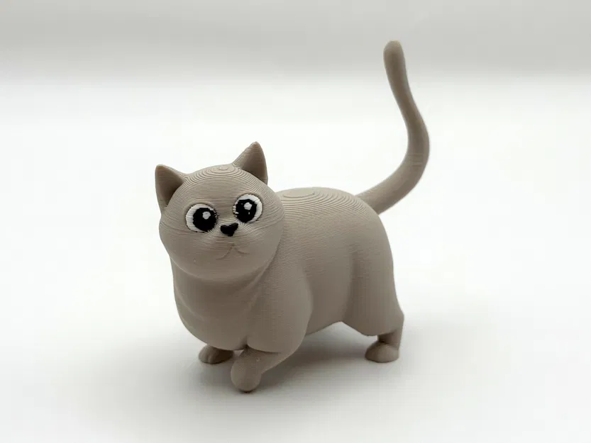 Woot Kitty – Mèo Chonky Dễ Thương - Image 2