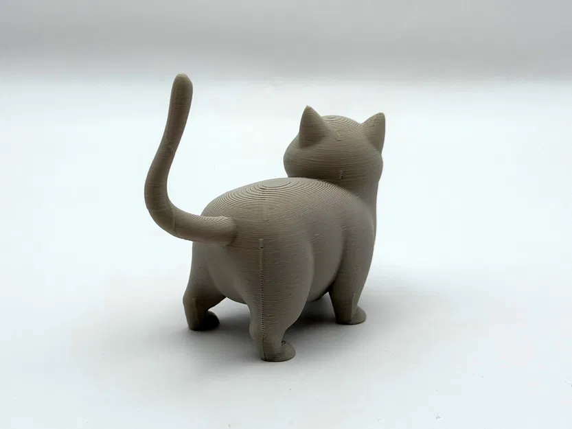Woot Kitty – Mèo Chonky Dễ Thương - Image 3