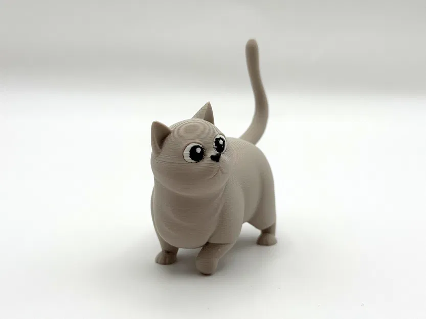 Woot Kitty – Mèo Chonky Dễ Thương - Image 4