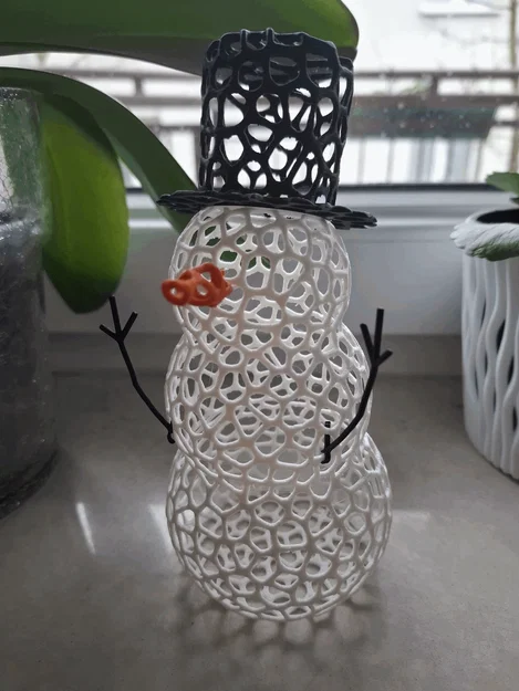 Người tuyết Voronoi - Image 2